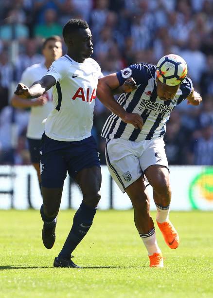 养了年轻人 养了年轻人